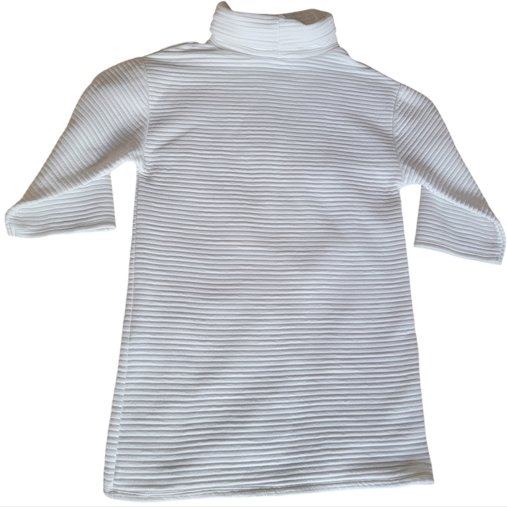 Zara White Ottoman Ribbed Sweater Dress Roll Neck Minimalist Women’s Sma… - Picture 7 of 16